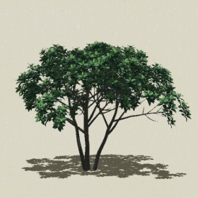 ��ľ��ľ-Sketchup��ͼ��ʦEnscape����ģ��2022051117