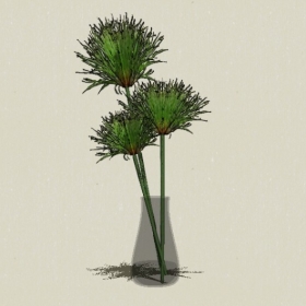 ������Ʒ-Sketchup��ͼ��ʦEnscape����ģ��2022051127