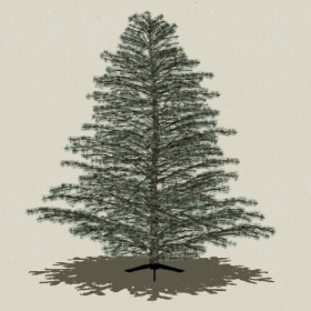 ��Ҷ��ľ-Sketchup��ͼ��ʦEnscape����ģ��20220511