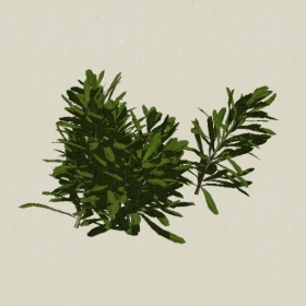 ��ľ-Sketchup��ͼ��ʦEnscape����ģ��20220511101