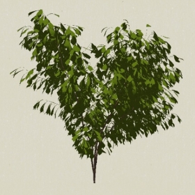 ��ľ-Sketchup��ͼ��ʦEnscape����ģ��20220511122