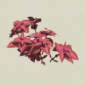 ��-Sketchup��ͼ��ʦEnscape����ģ��20220511115