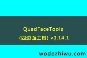 QuadFaceTools (ı湤) v0.14.1 0.15