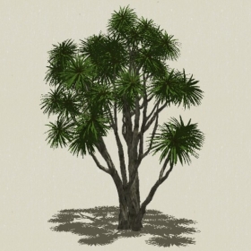 ��ľ-Sketchup��ͼ��ʦEnscape����ģ��20220511164