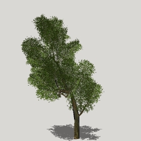 ͼʦģֲģȫ20221297