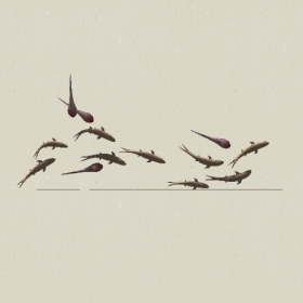 ǽ�ι���-Sketchup��ͼ��ʦEnscape����ģ��2022051126