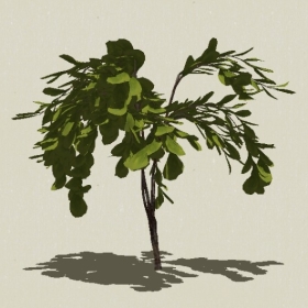 ��ľ-Sketchup��ͼ��ʦEnscape����ģ��2022051163