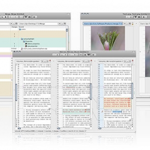 Araxis Merge for mac 2016.4702 文件可视化比较合并同步工具 最新绿化版