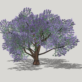 草图大师模型植物简模齐全2022年1279