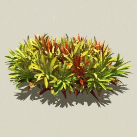 ��ľ-Sketchup��ͼ��ʦEnscape����ģ��2022051131