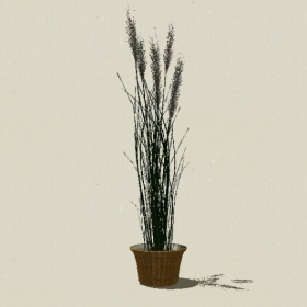 ����ֲ��-Sketchup��ͼ��ʦEnscape����ģ��20220511340