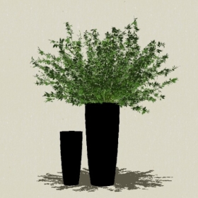 ����ֲ��-Sketchup��ͼ��ʦEnscape����ģ��20220511120