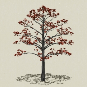 ��ľ-Sketchup��ͼ��ʦEnscape����ģ��20220511167