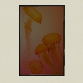 װ�λ�-Sketchup��ͼ��ʦEnscape����ģ��20220511159