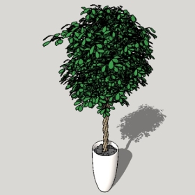 ͼʦSketchupƷģ20221125ϴ031