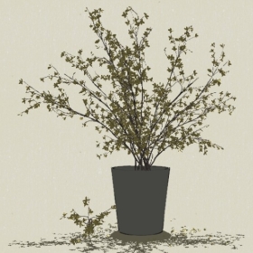 ����-Sketchup��ͼ��ʦEnscape����ģ��2022051146