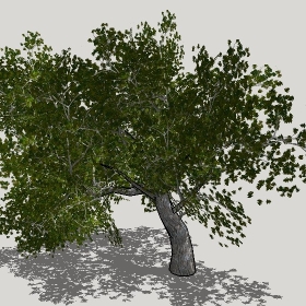 草图大师模型植物简模齐全2022年1272