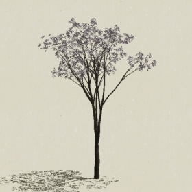 ��ľ��ľ-Sketchup��ͼ��ʦEnscape����ģ��2022051183