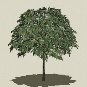 ��ľ-Sketchup��ͼ��ʦEnscape����ģ��2022051159