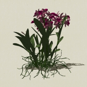 ����-Sketchup��ͼ��ʦEnscape����ģ��2022051174