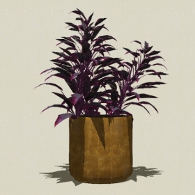 ����ֲ��-Sketchup��ͼ��ʦEnscape����ģ��20220511150