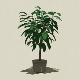 ����ֲ��-Sketchup��ͼ��ʦEnscape����ģ��20220511402