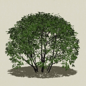 ��ľ-Sketchup��ͼ��ʦEnscape����ģ��2022051144