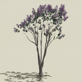 ��ľ��ľ-Sketchup��ͼ��ʦEnscape����ģ��2022051185