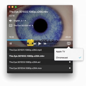 Beamer for mac 3.1.2 网络流媒体播放器