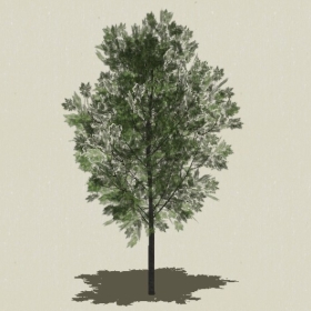 ��ľ-Sketchup��ͼ��ʦEnscape����ģ��20220511101