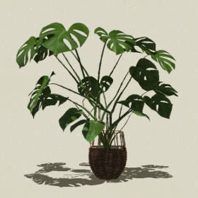 ����ֲ��-Sketchup��ͼ��ʦEnscape����ģ��2022051184