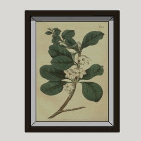 װ�λ�_Enscape���ʲ�ͼ��ʦģ���������202204203132