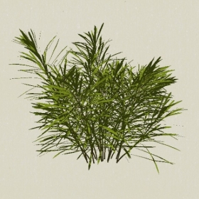 ��-Sketchup��ͼ��ʦEnscape����ģ��202205116