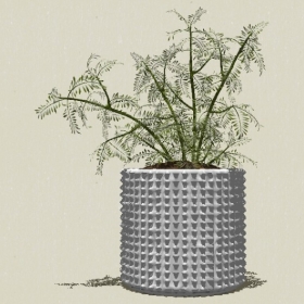 ����ֲ��-Sketchup��ͼ��ʦEnscape����ģ��2022051189