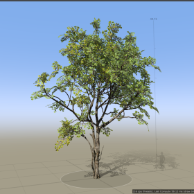 Alder_Hero_Forest