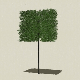 ��ľ-Sketchup��ͼ��ʦEnscape����ģ��2022051113