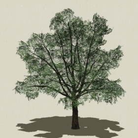 ��ľ-Sketchup��ͼ��ʦEnscape����ģ��2022051190