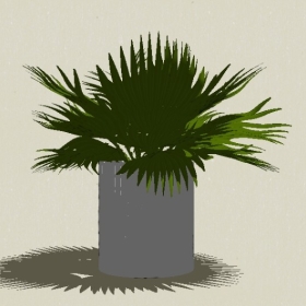 ����ֲ��-Sketchup��ͼ��ʦEnscape����ģ��20220511338