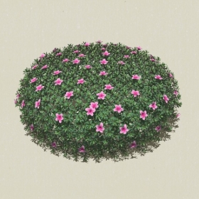 ��ľ-Sketchup��ͼ��ʦEnscape����ģ��2022051126