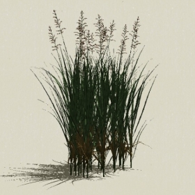 ��-Sketchup��ͼ��ʦEnscape����ģ��20220511105