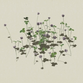 ����-Sketchup��ͼ��ʦEnscape����ģ��20220511117