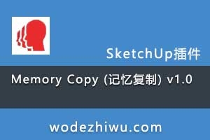 Memory Copy (临) v1.0