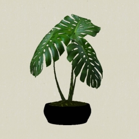 ����ֲ��-Sketchup��ͼ��ʦEnscape����ģ��2022051172