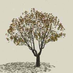 ��ľ-Sketchup��ͼ��ʦEnscape����ģ��20220511182