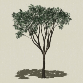 ��ľ-Sketchup��ͼ��ʦEnscape����ģ��2022051183