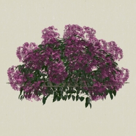 ����-Sketchup��ͼ��ʦEnscape����ģ��202205119