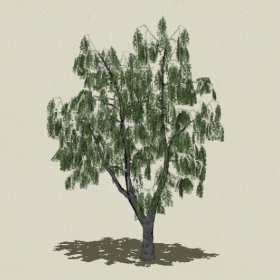 ��ľ-Sketchup��ͼ��ʦEnscape����ģ��2022051164