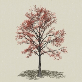 ��ľ-Sketchup��ͼ��ʦEnscape����ģ��20220511166