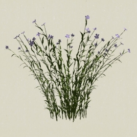 ����-Sketchup��ͼ��ʦEnscape����ģ��2022051191