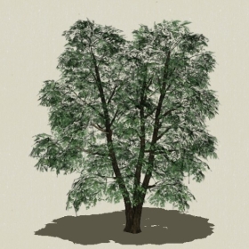 ��ľ-Sketchup��ͼ��ʦEnscape����ģ��2022051189